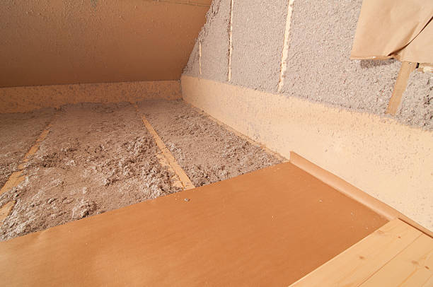 Best Residential Insulation in Pine Castle, FL