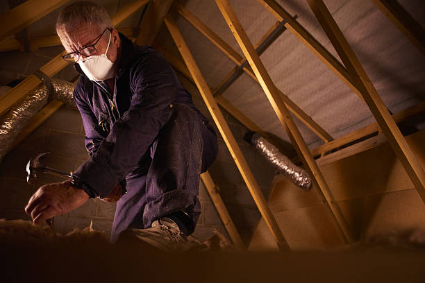 Best Cellulose Insulation in Pine Castle, FL
